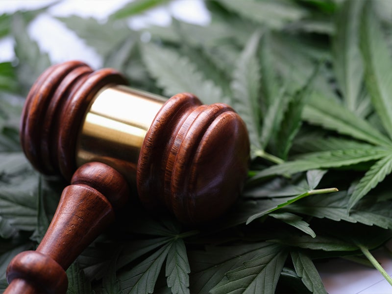 Marijuana Charges Defense - Pinellas County FL